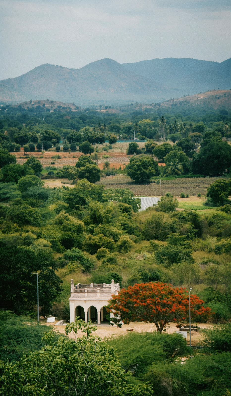 Tree-covered valley and distant hills viewed from above.